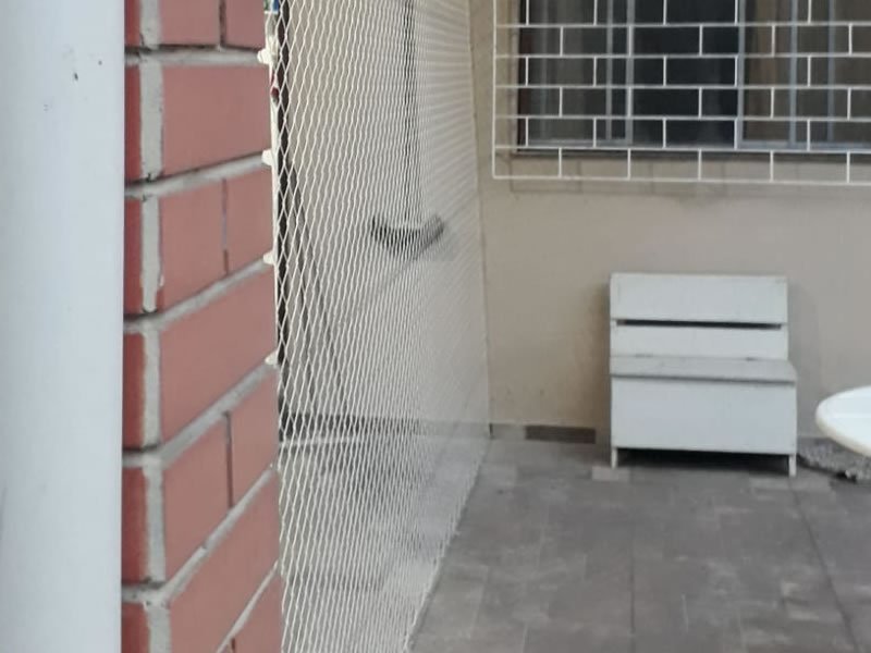 Quais redes são indicadas para quem tem crianças e pets em Brasília