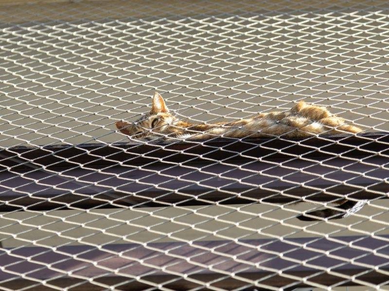 Telas de proteção para Escadas em Brasília