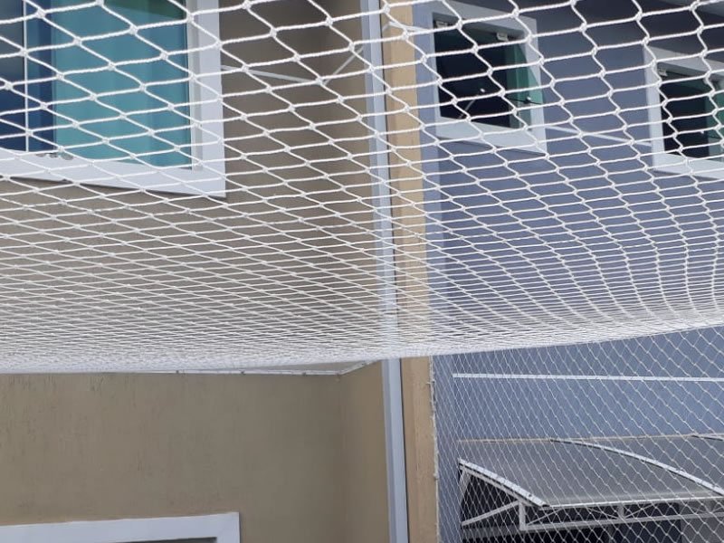 Rede de Proteção Brasília