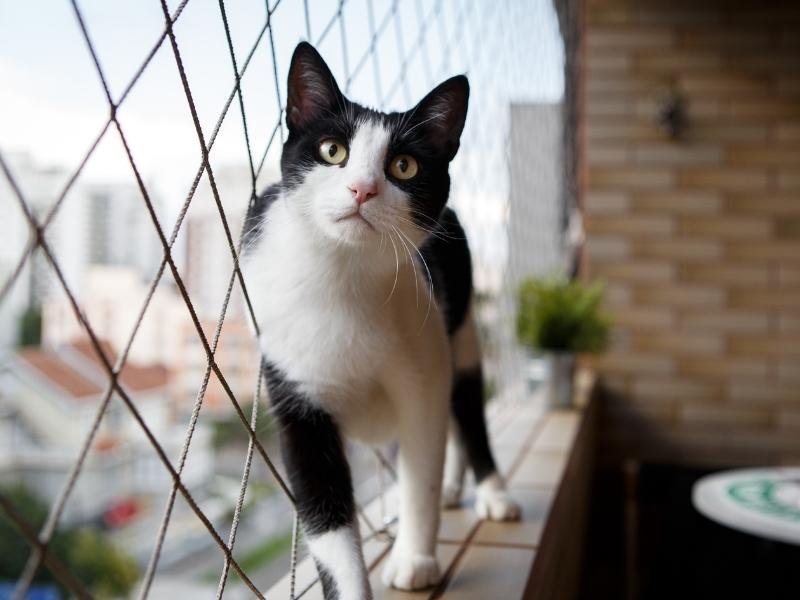 Redes de Proteção em Lago Norte, Brasília