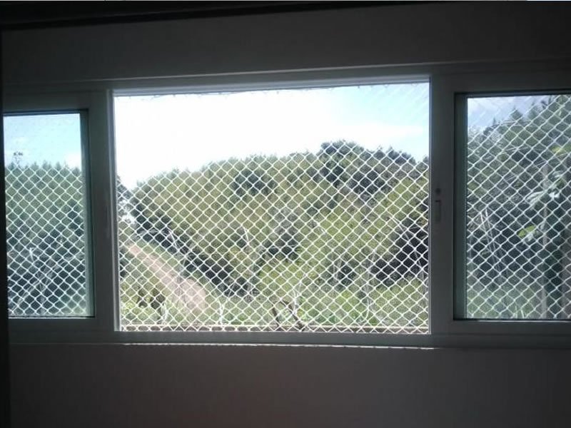 Rede de Proteção Brasília