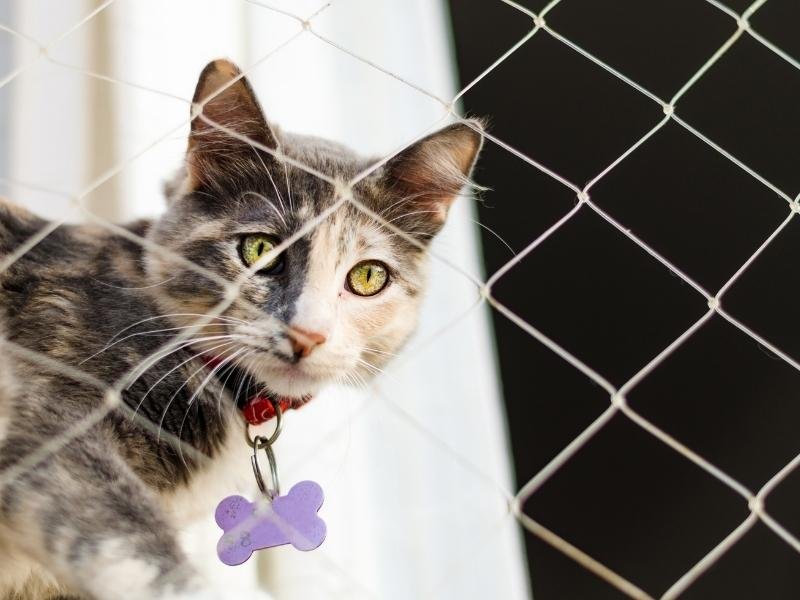 Redes de Proteção em Águas Claras, Brasília