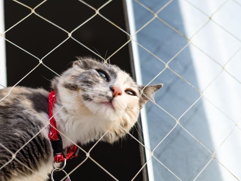 Instalação de tela protetora em Arniqueira, Brasília