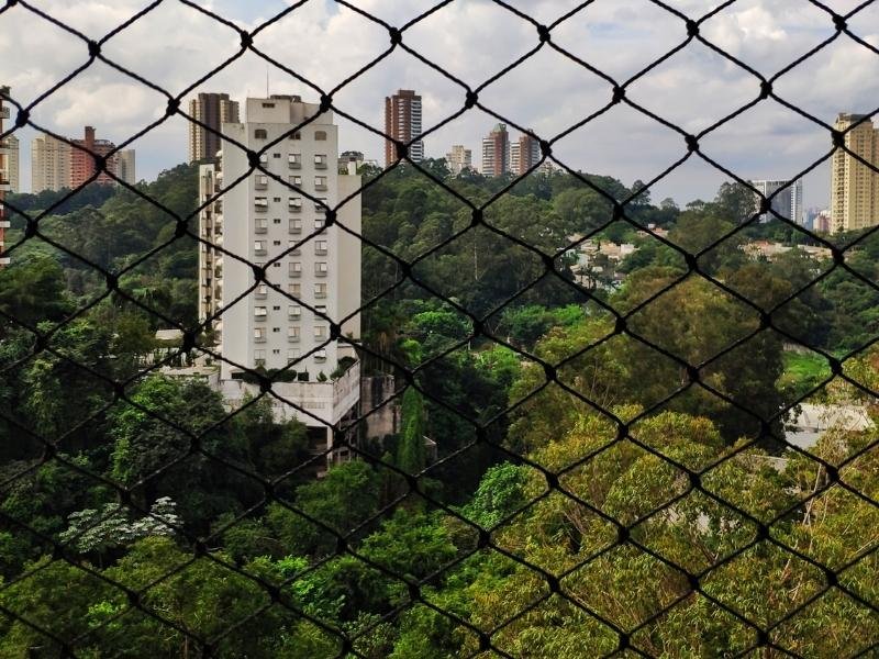 Rede de Proteção Brasília